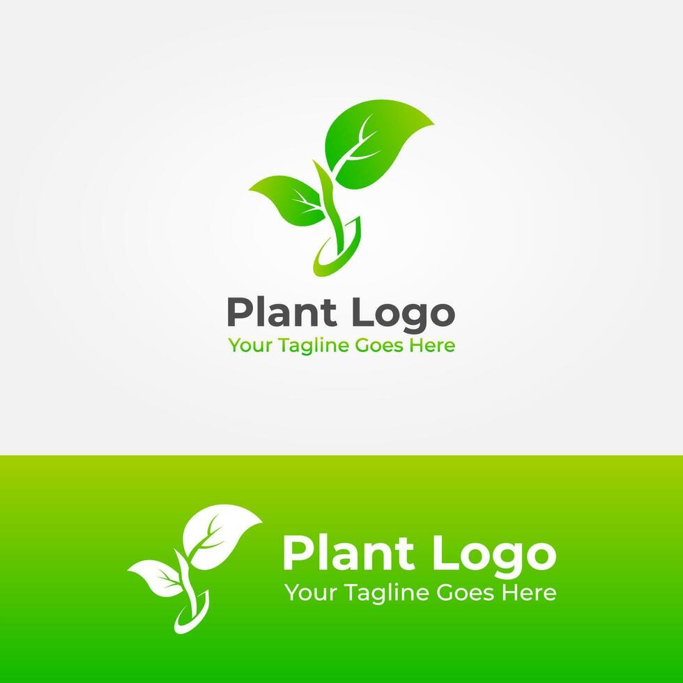 creciente planta logo vector diseño, planta logo diseño, planta de semillero logo, eco amigable, ambiente vector