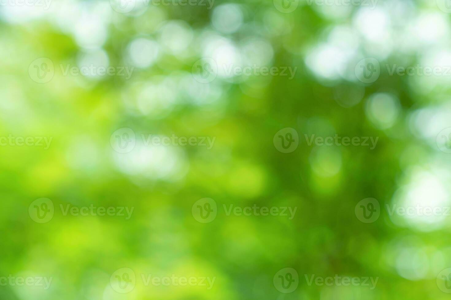 natural green bokeh abstract background,blurred textured photo