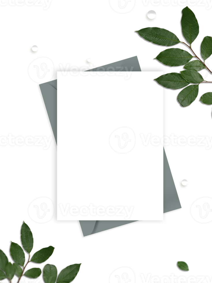 Blank Leaflets with Envelope, and Green Leaves on PNG Background.