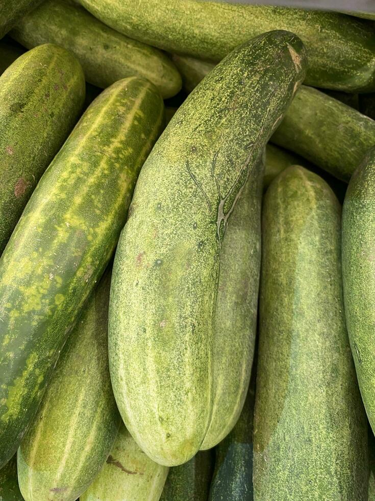 cucumber fresh nice photo