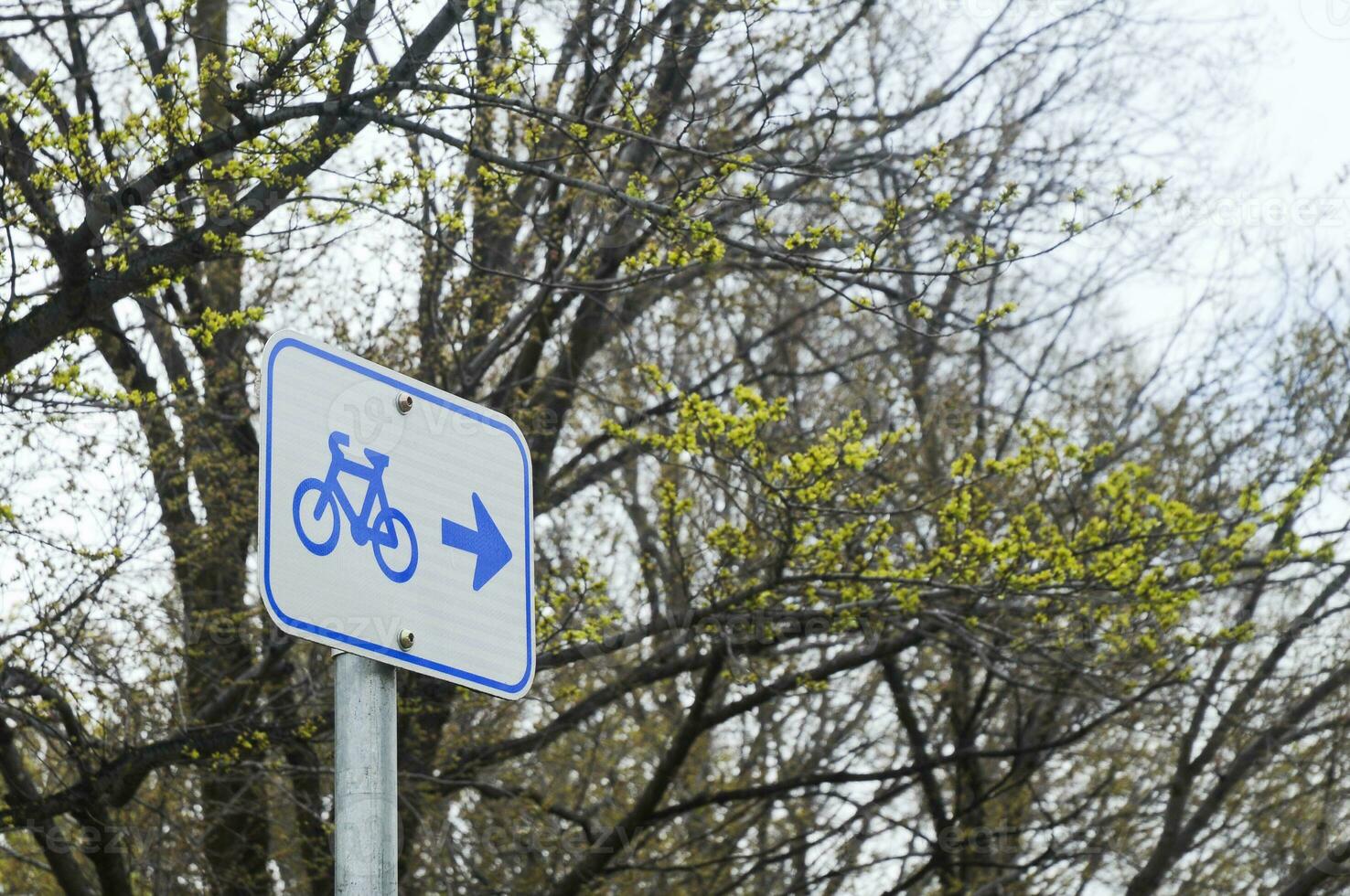 Bicycle signpost in a forest photo