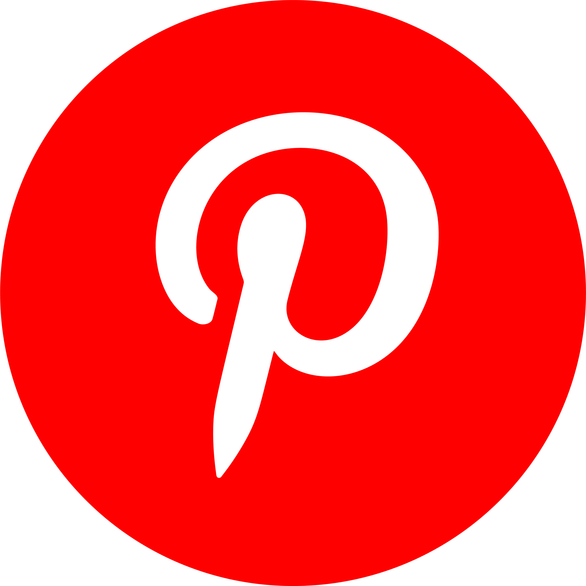 White Pinterest Logo - Icon Pinterest Png - Free PNG Images png