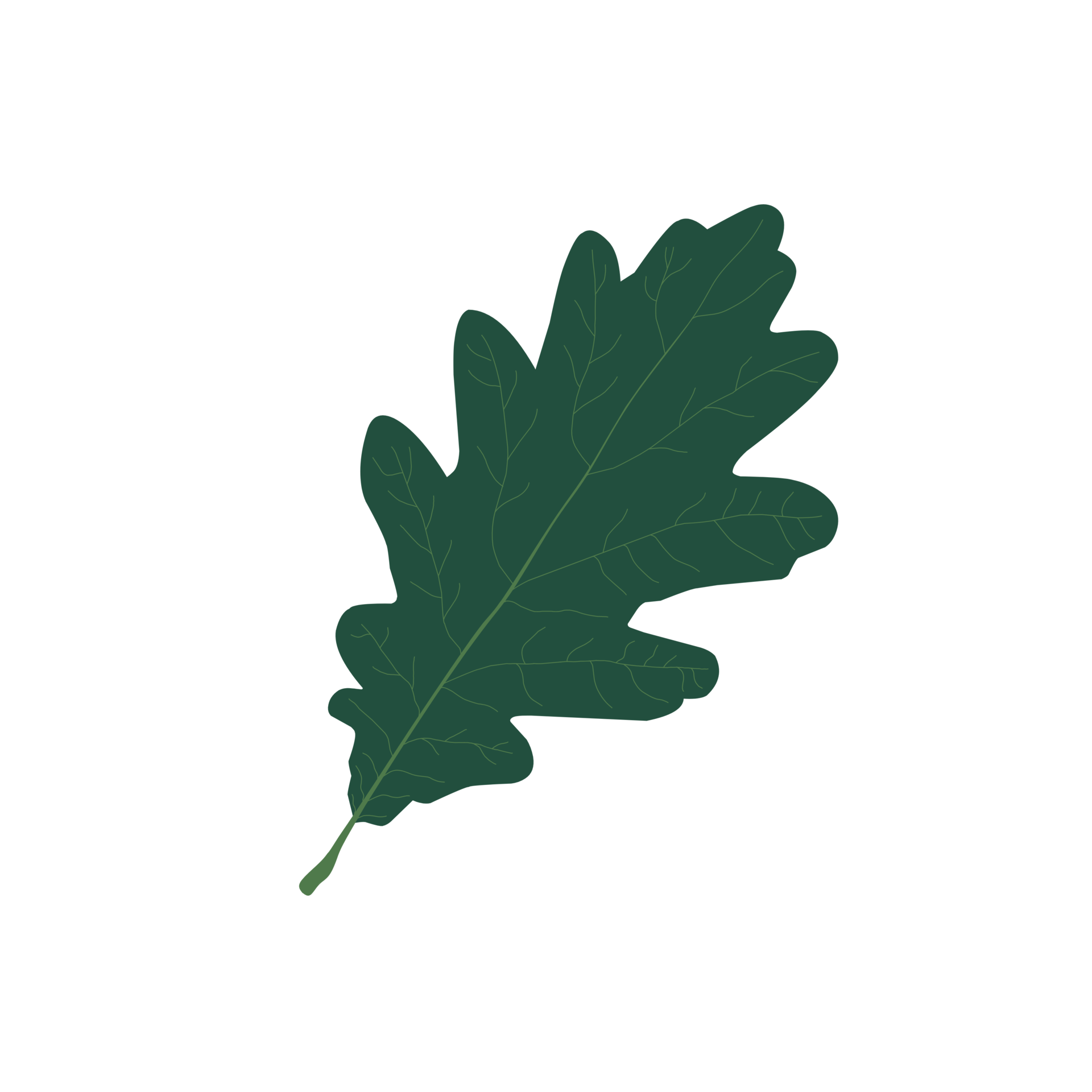 Aesthetic dark green leaf illustration 23741828 PNG
