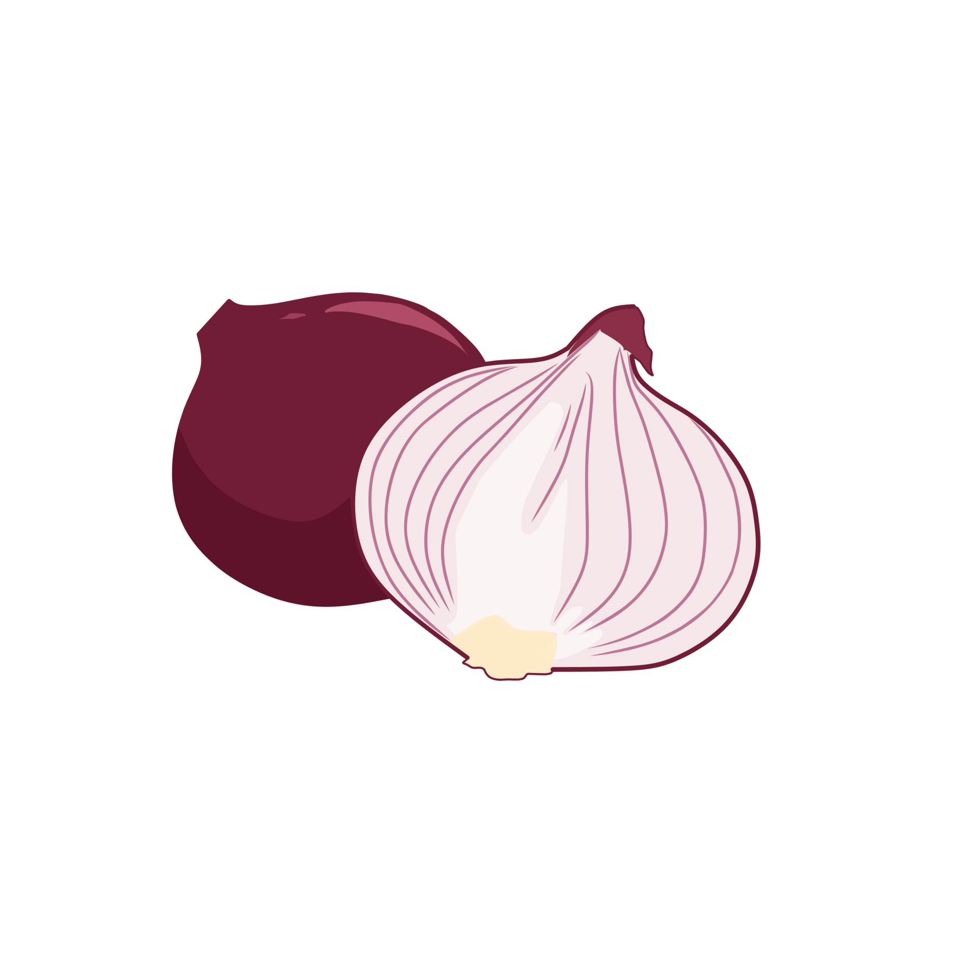 Illustration of whole and sliced shallots 23741844 PNG