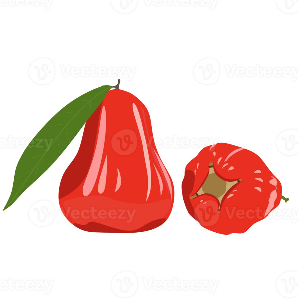 illustration of two red rose apples with their green leaves png