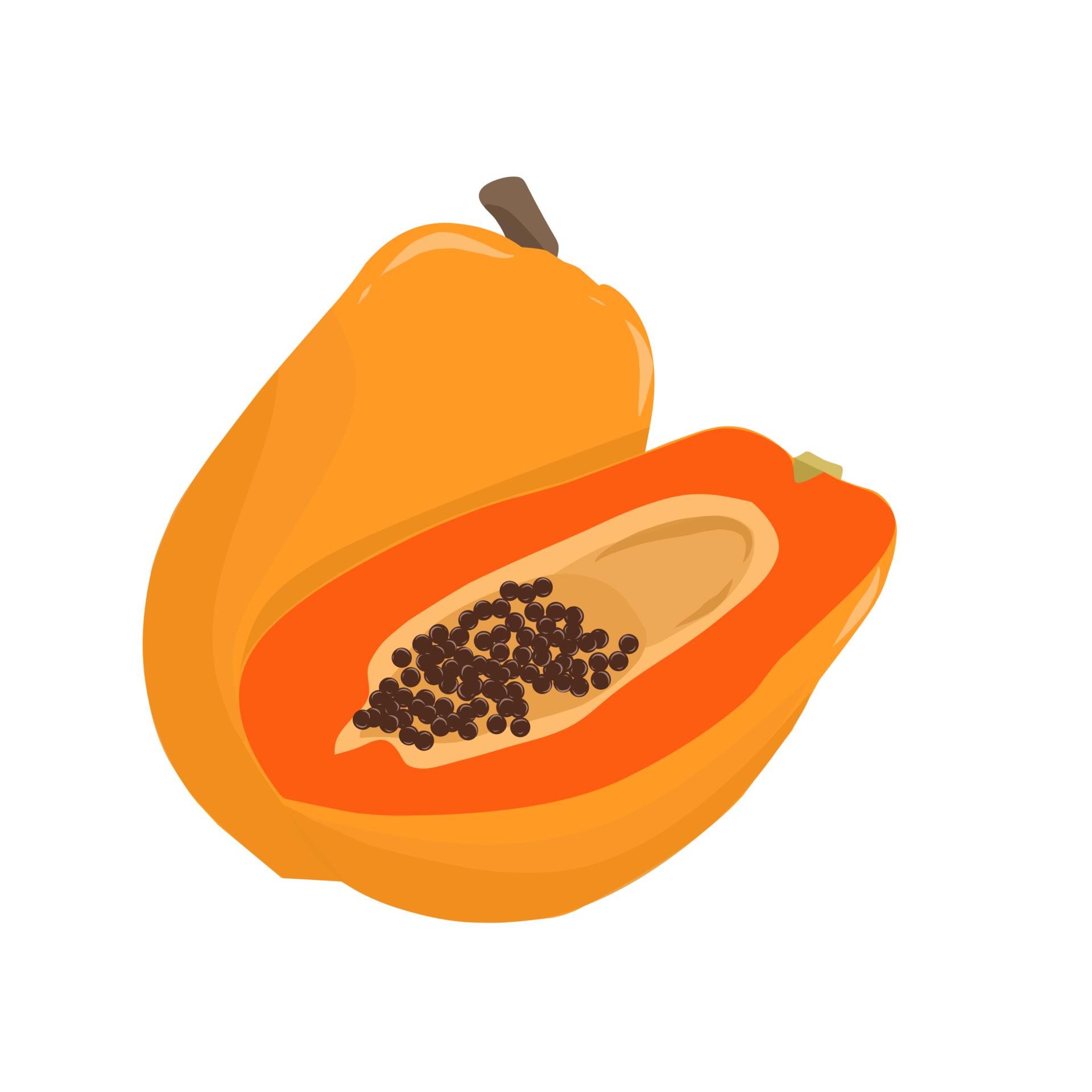 Illustration of whole and split papaya 23741859 PNG