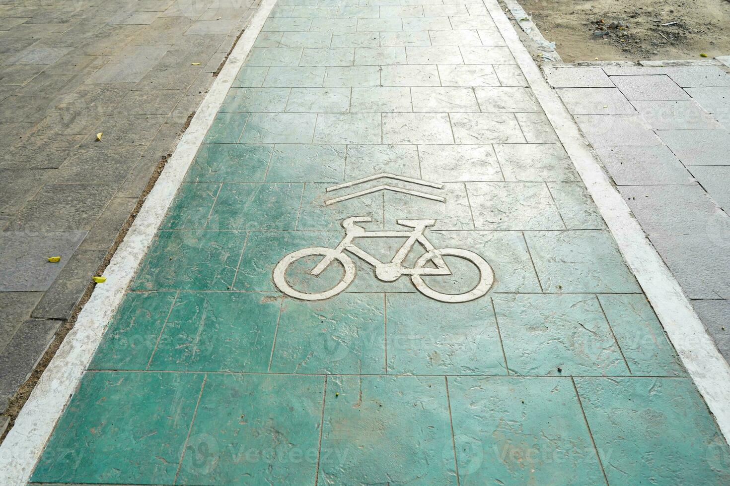 bicycle lane, traffic, city transportation and eco-friendly concept, green bicycle lane with bicycle signs photo