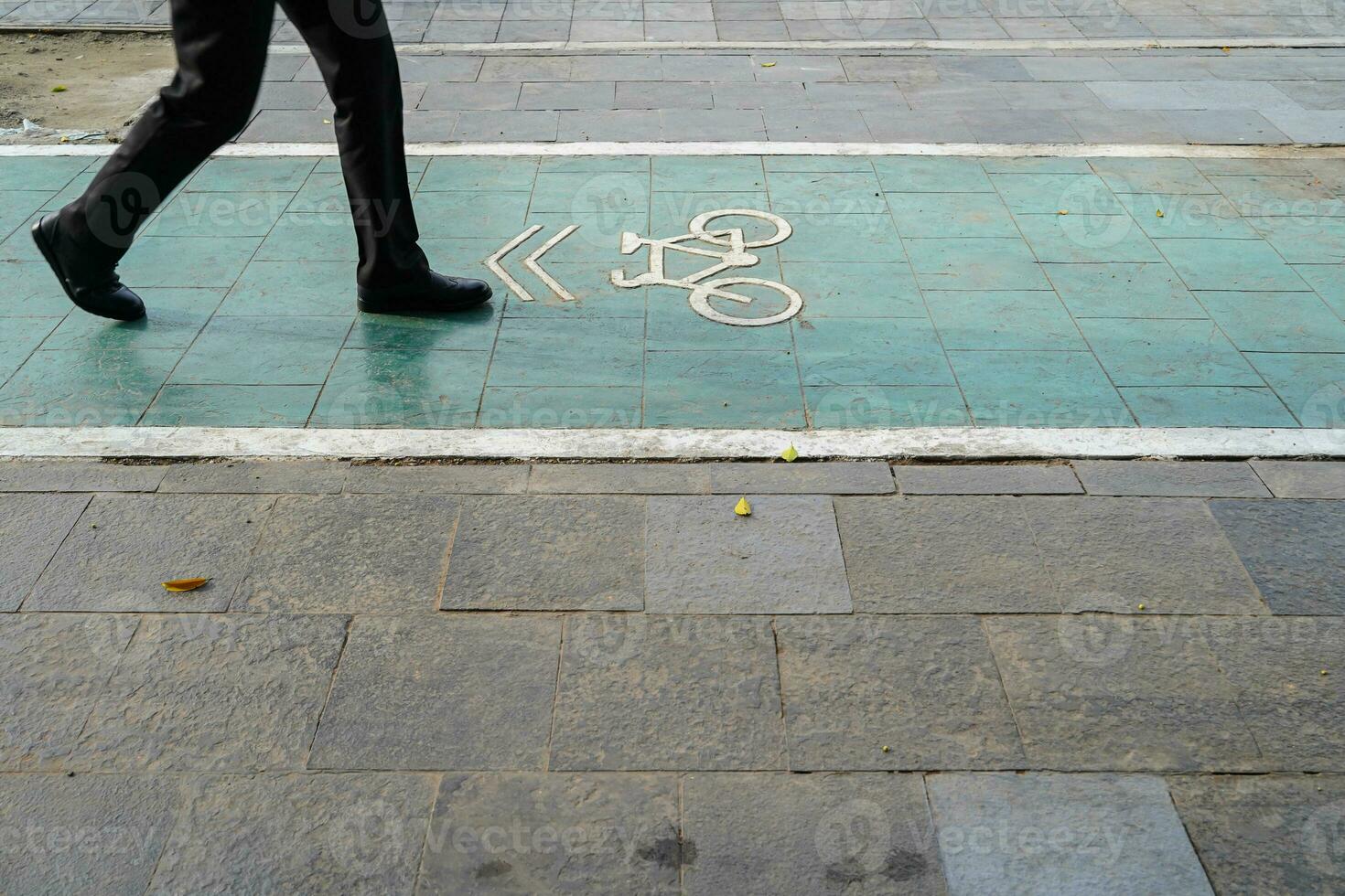 bicycle lane, traffic, city transportation and eco-friendly concept, green bicycle lane with bicycle signs photo