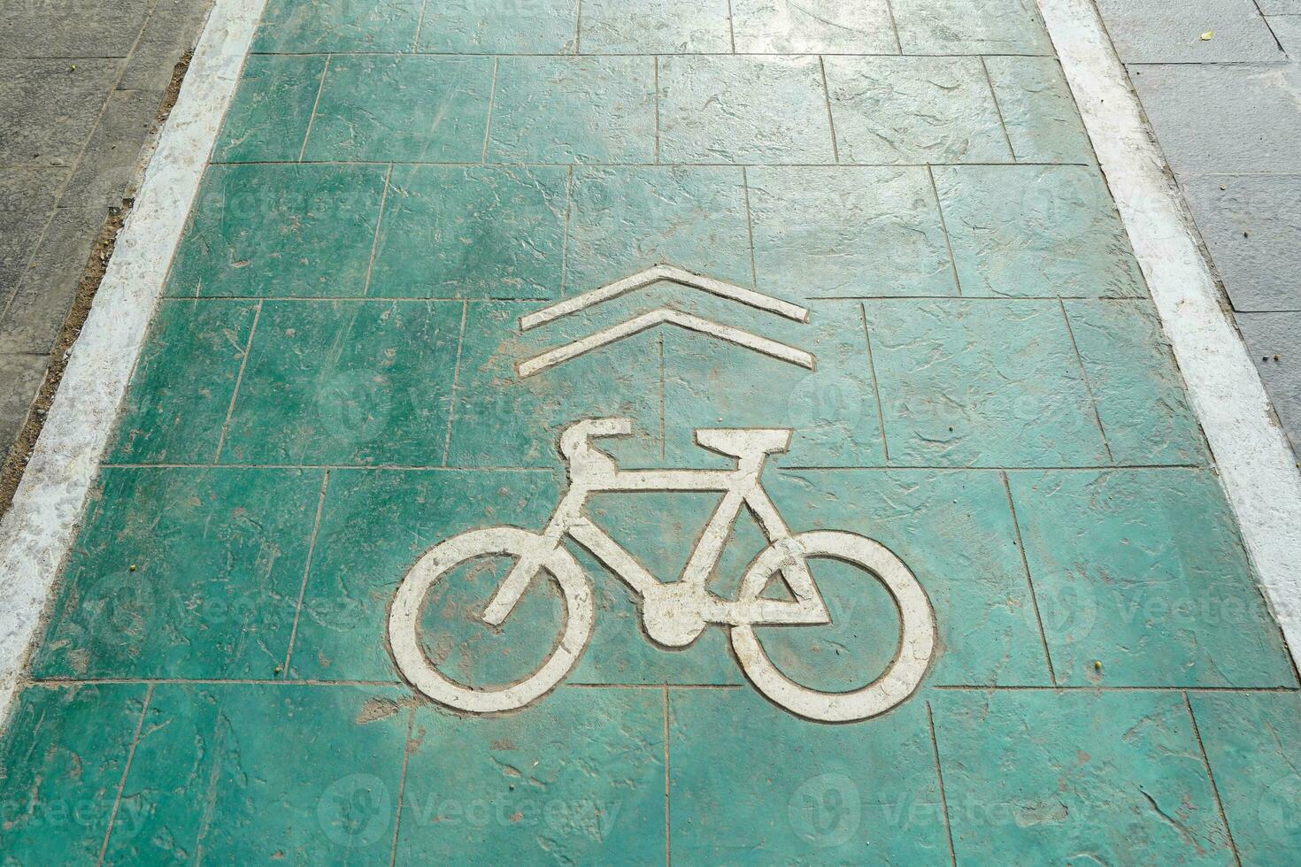 bicycle lane, traffic, city transportation and eco-friendly concept, green bicycle lane with bicycle signs photo