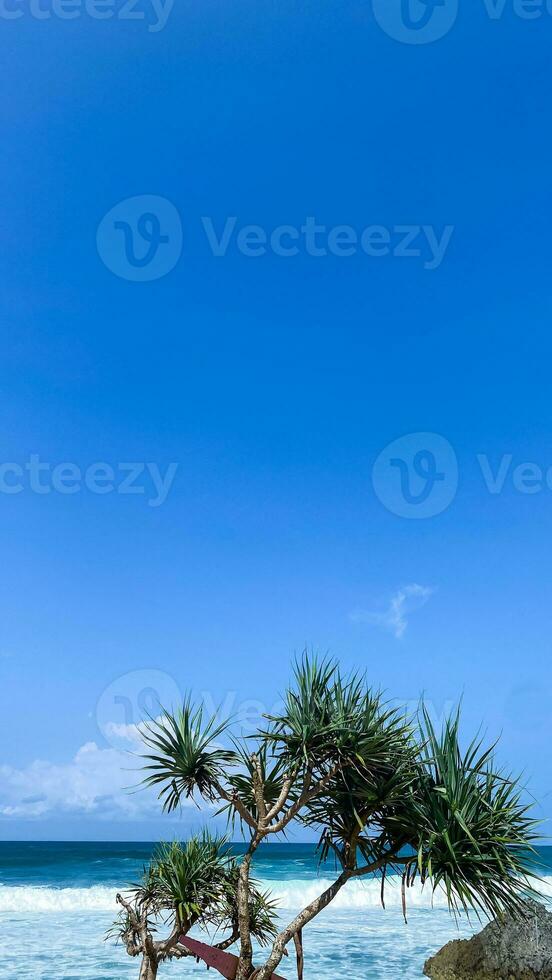 waves splashing on the rocks by the sea, in mesra beach photo