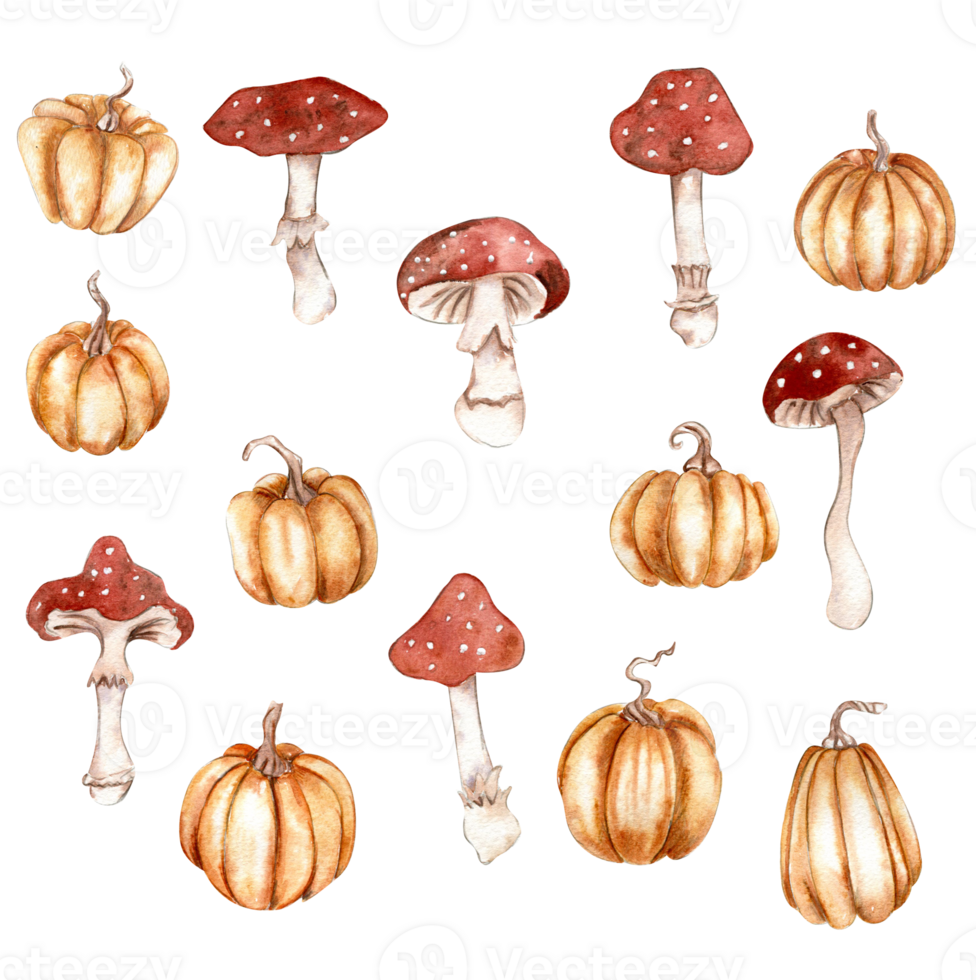 aquarelle main tiré l'automne citrouilles et champignons. main tiré illustration de l'automne. parfait pour scrapbooking, des gamins conception, mariage invitation, affiches, salutations cartes, fête décoration. png