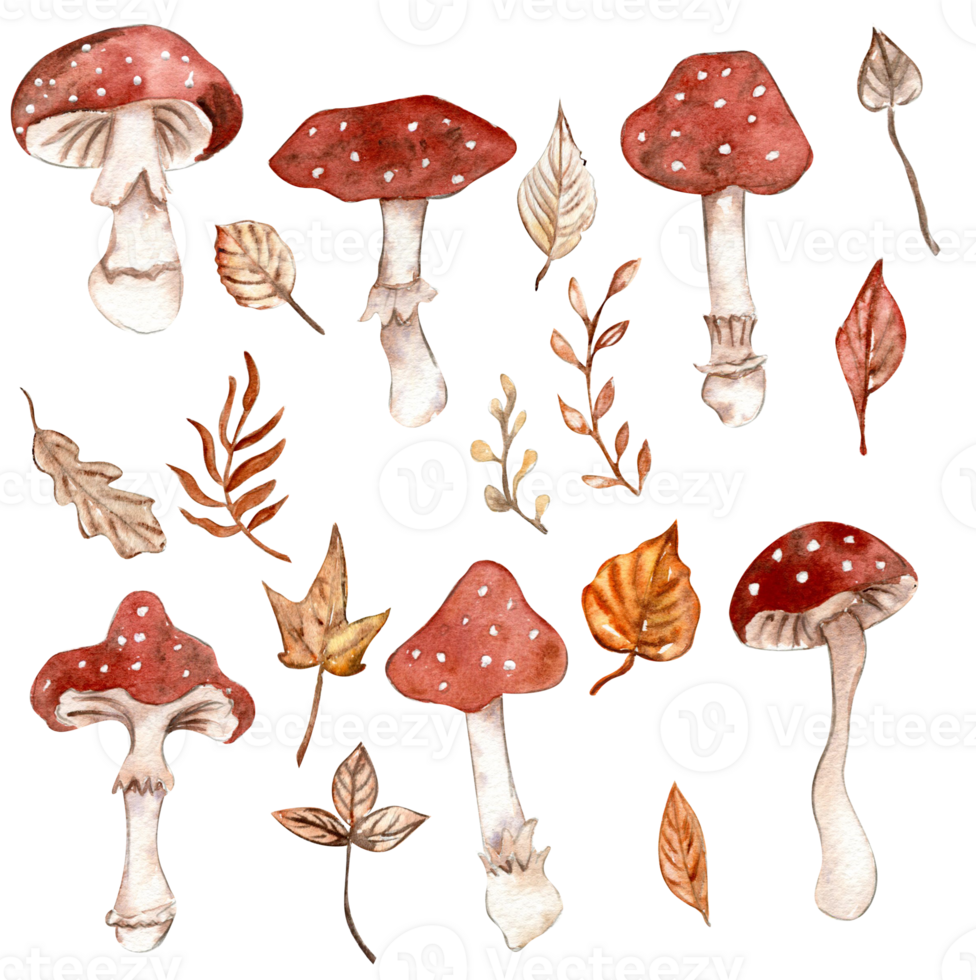 aquarelle main tiré l'automne feuilles et champignons. main tiré illustration de l'automne. parfait pour scrapbooking, des gamins conception, mariage invitation, affiches, salutations cartes, fête décoration. png