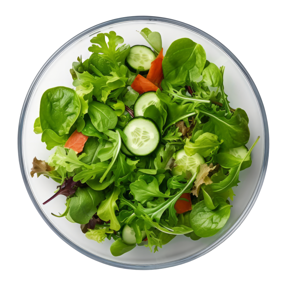 Green fresh salad isolated. Illustration png