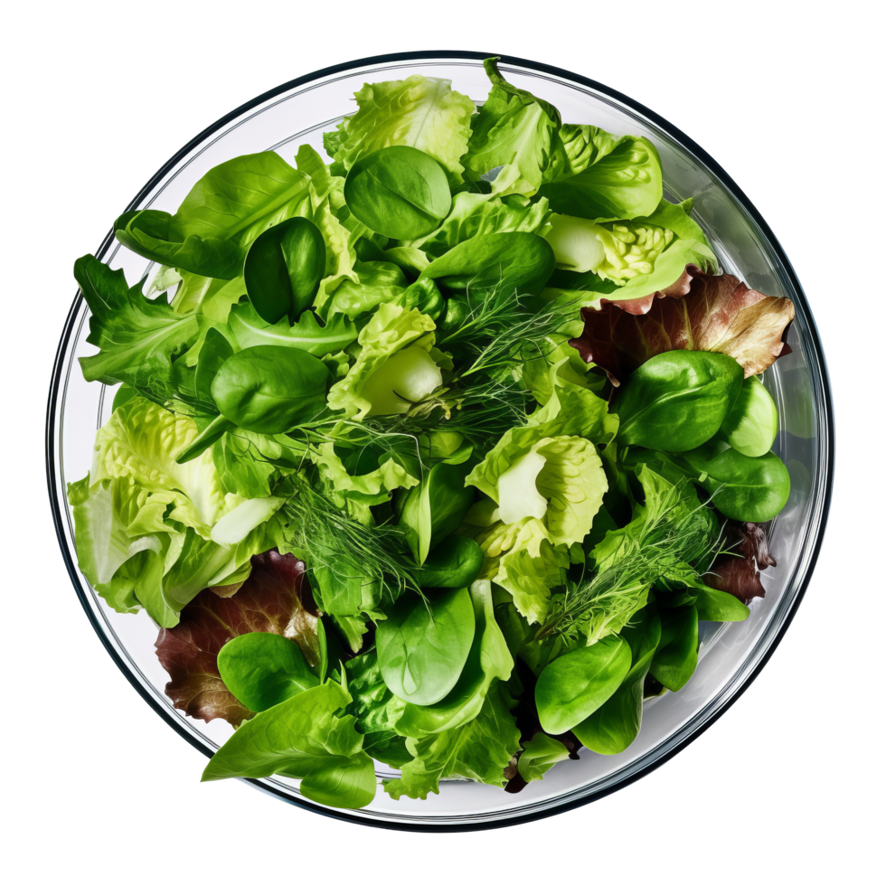 Green fresh salad isolated. Illustration png