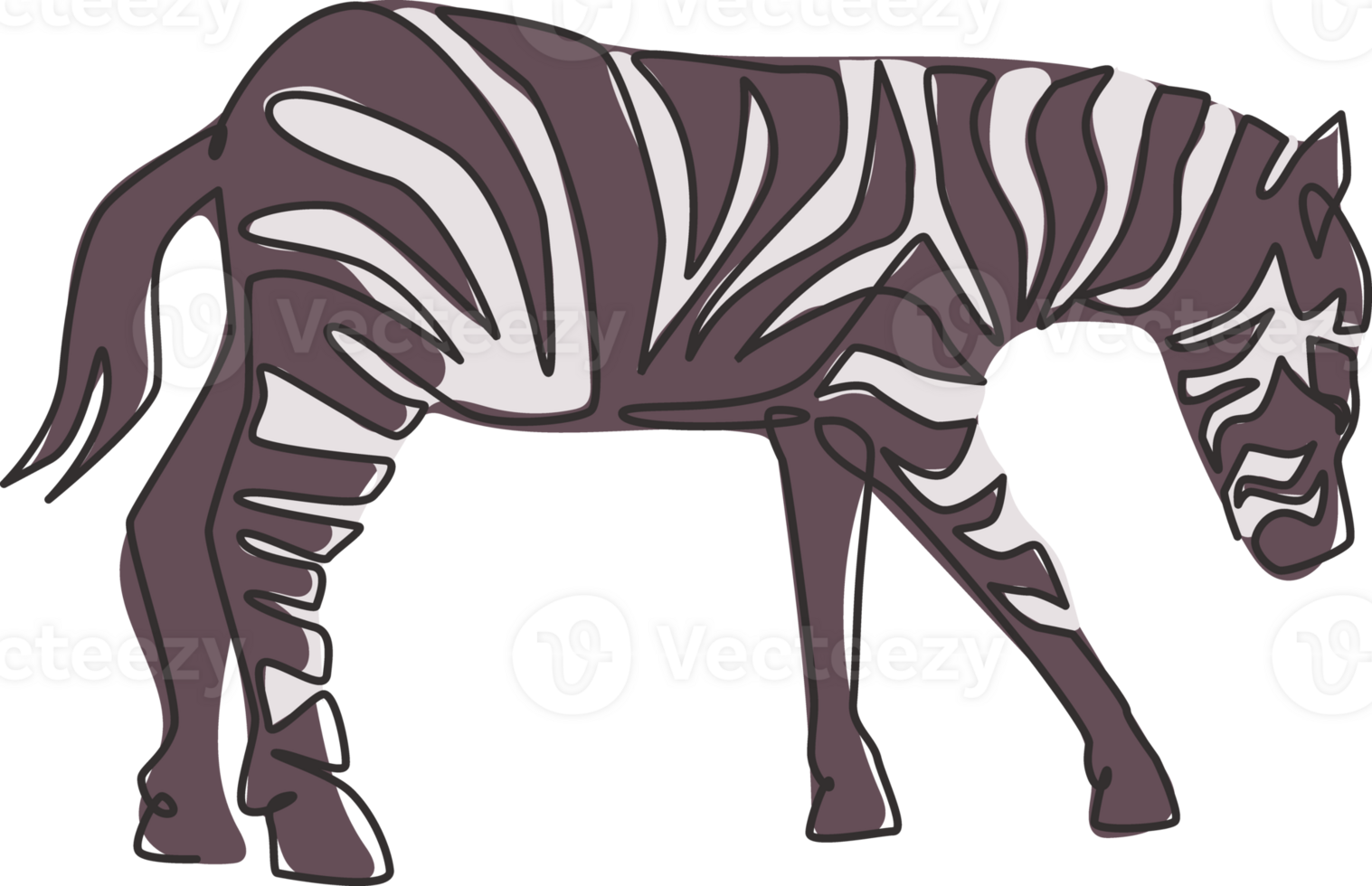 One single line drawing of zebra for zoo safari national park logo identity. Typical horse from Africa with stripes concept for kids playground mascot. Continuous line draw design illustration png