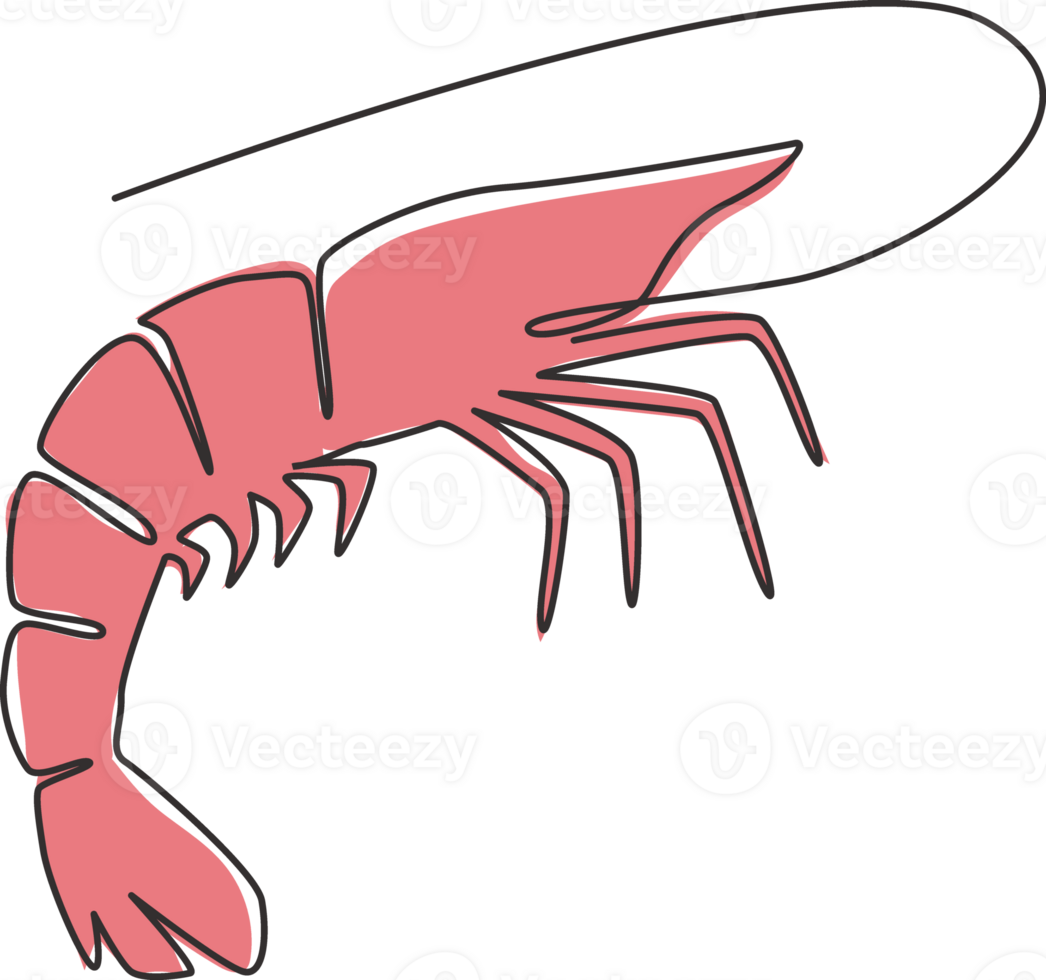 single doorlopend lijn tekening van groot garnaal voor gezond zeevruchten logo identiteit. garnaal mascotte concept voor landbouw teelt icoon. een lijn trek ontwerp grafisch illustratie png