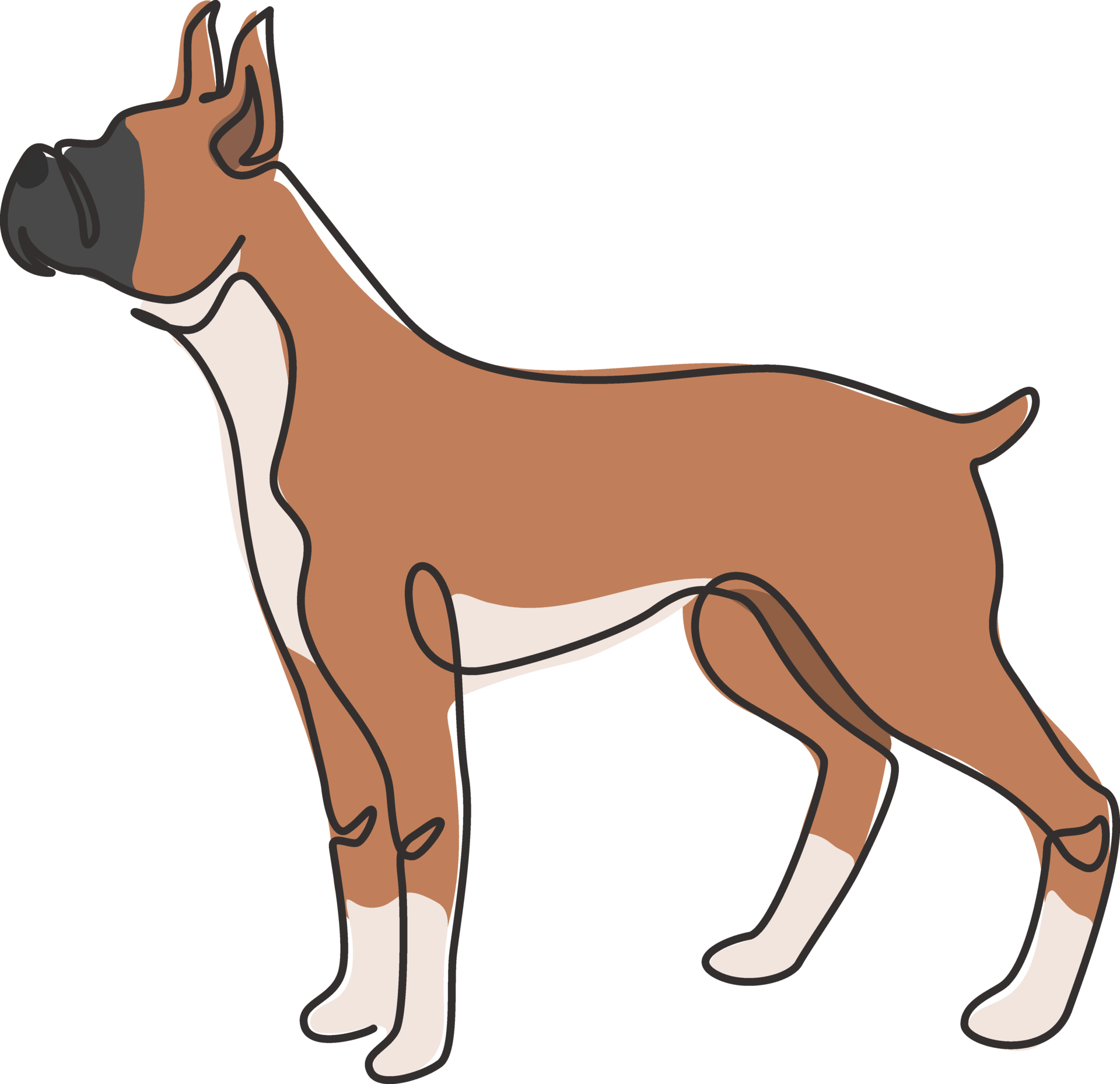 soltero-uno-l-nea-dibujo-de-galante-boxer-perro-para-seguridad-empresa