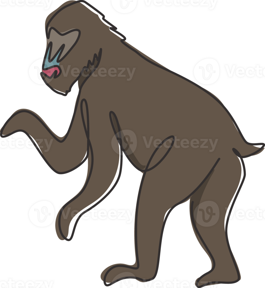 One continuous line drawing of cute mandrill for company logo identity. Big exotic monkey mascot concept for national zoo icon. Modern single line draw design graphic illustration png