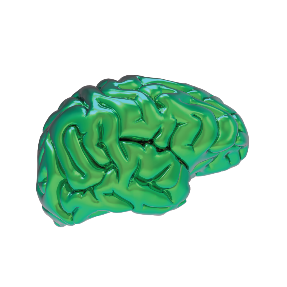Brain isolated 3d rendering png
