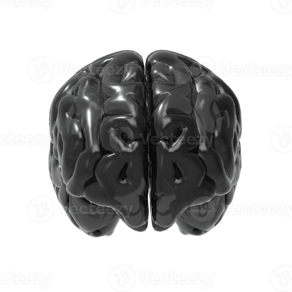 Brain isolated 3d rendering png