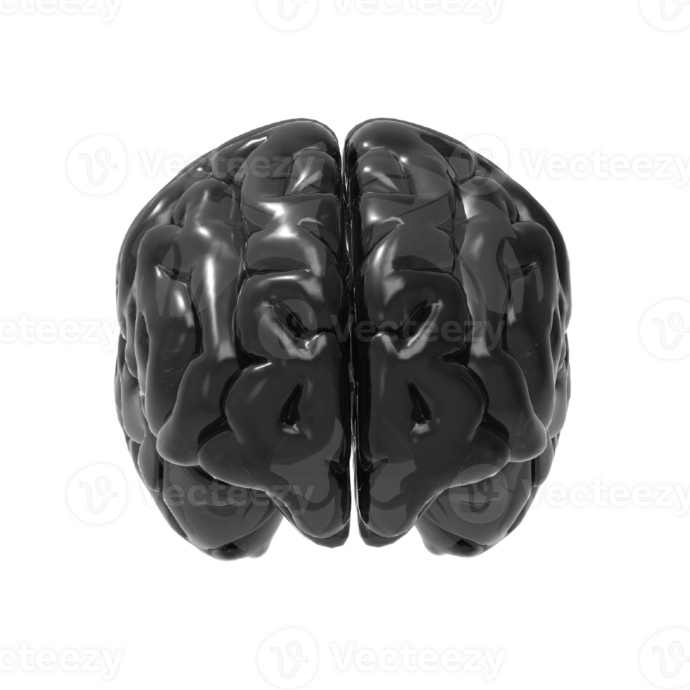 hjärna isolerat 3d tolkning png