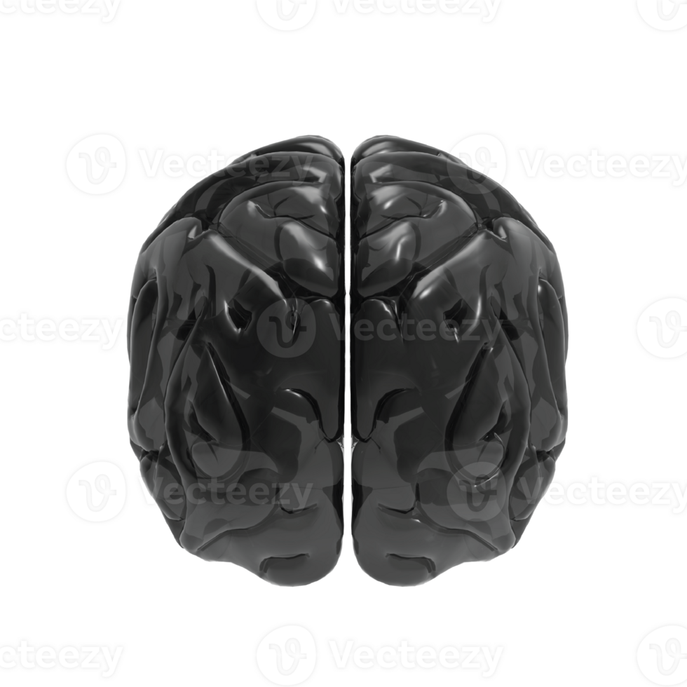 Brain isolated 3d rendering png