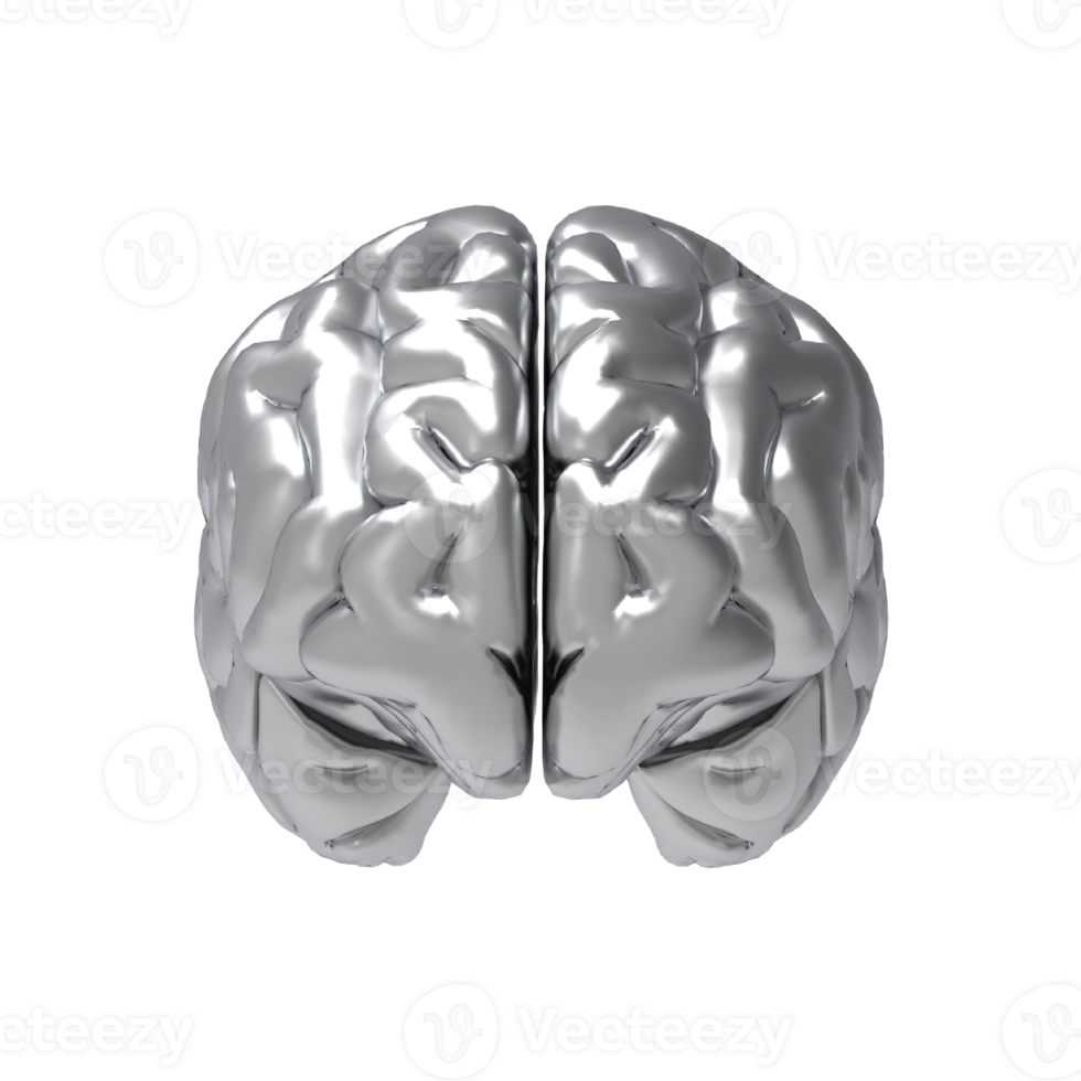 cerebro aislado 3d representación png