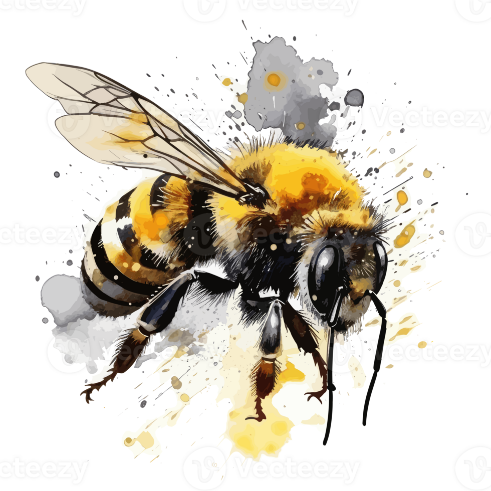 watercolor bee honeycomb honey flowers . png