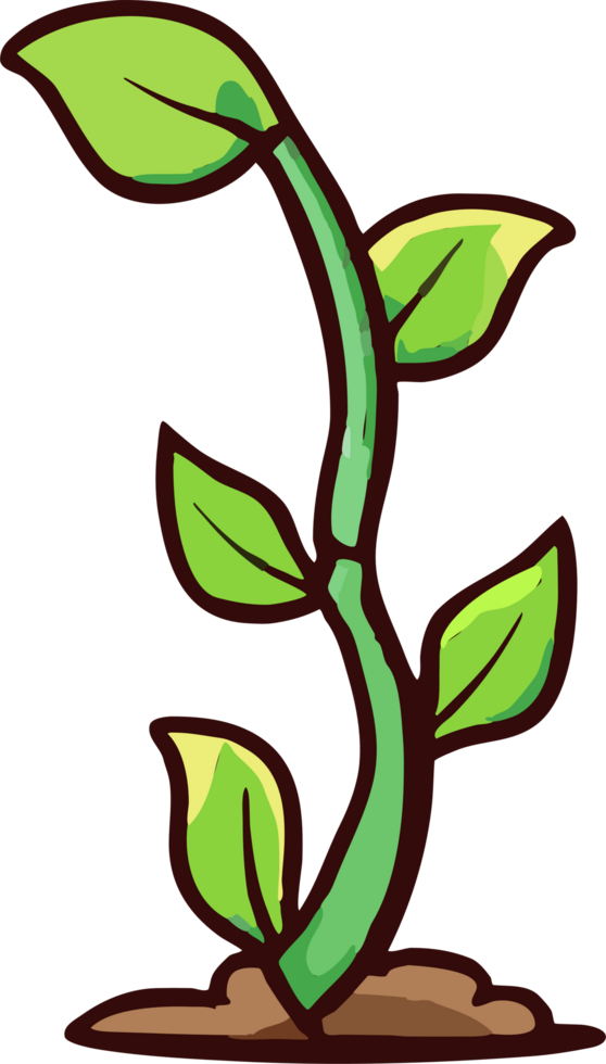 Plant growing png graphic clipart design 23743673 PNG