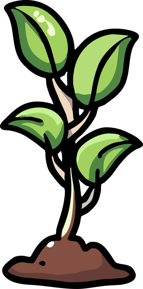 Plant growing png graphic clipart design