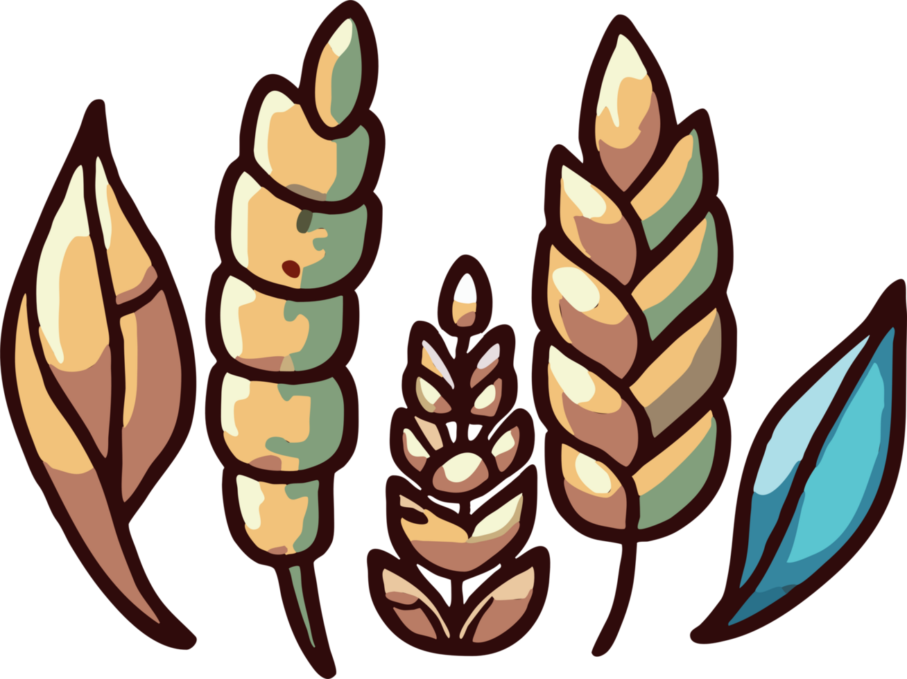 Wheat png graphic clipart design