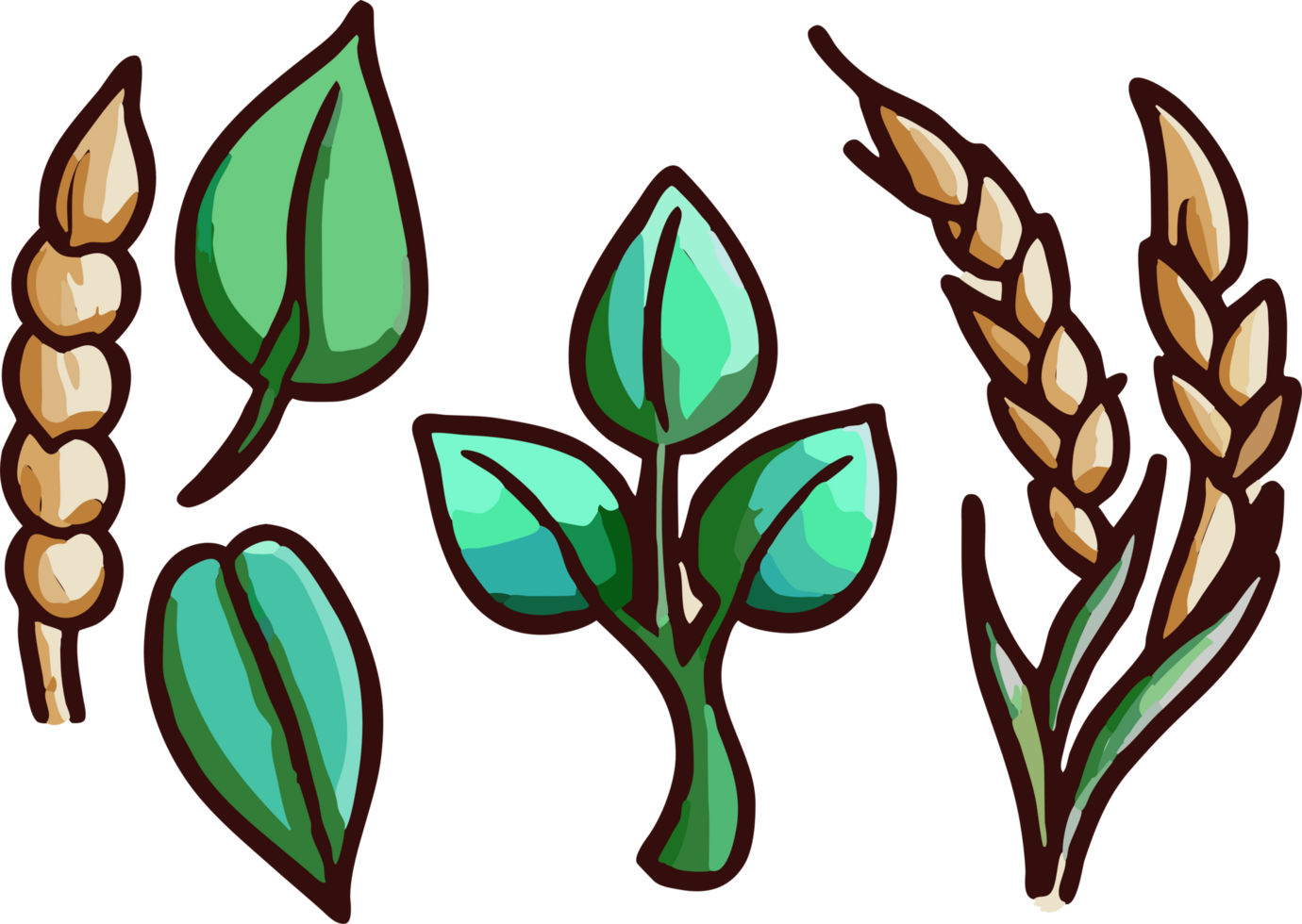 Wheat png graphic clipart design