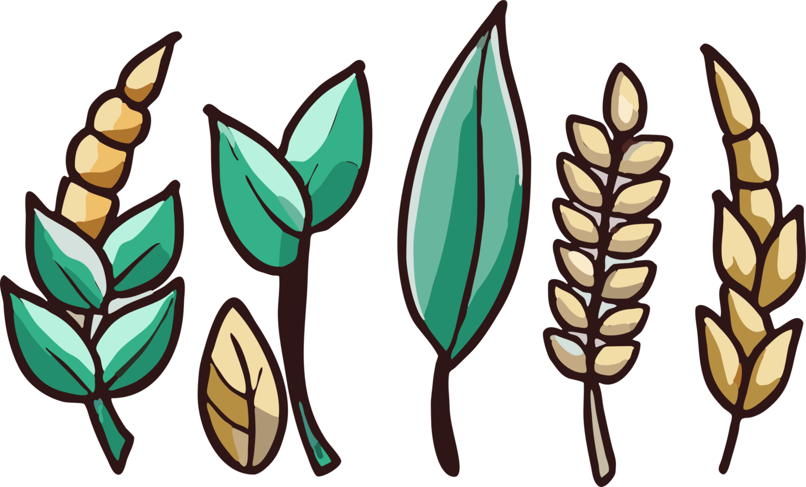 Wheat png graphic clipart design