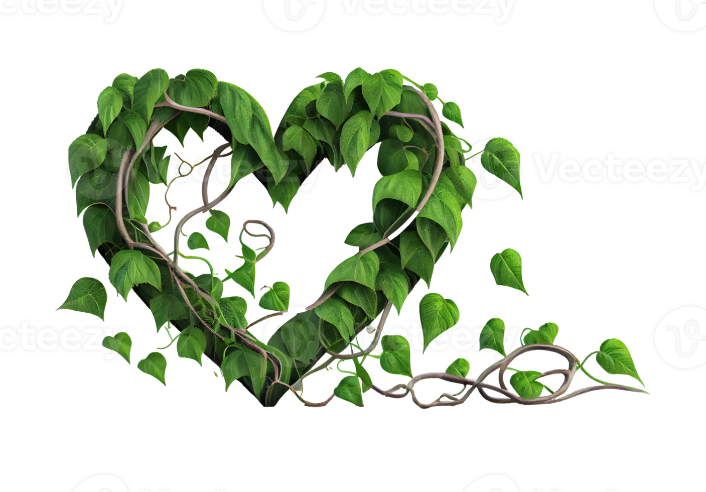 Heart shaped jungle vines on transparent background, created with png