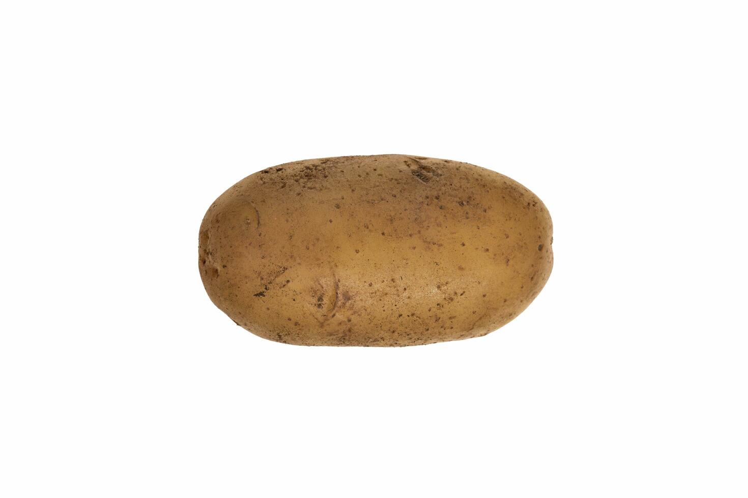 Potato isolated on white background photo