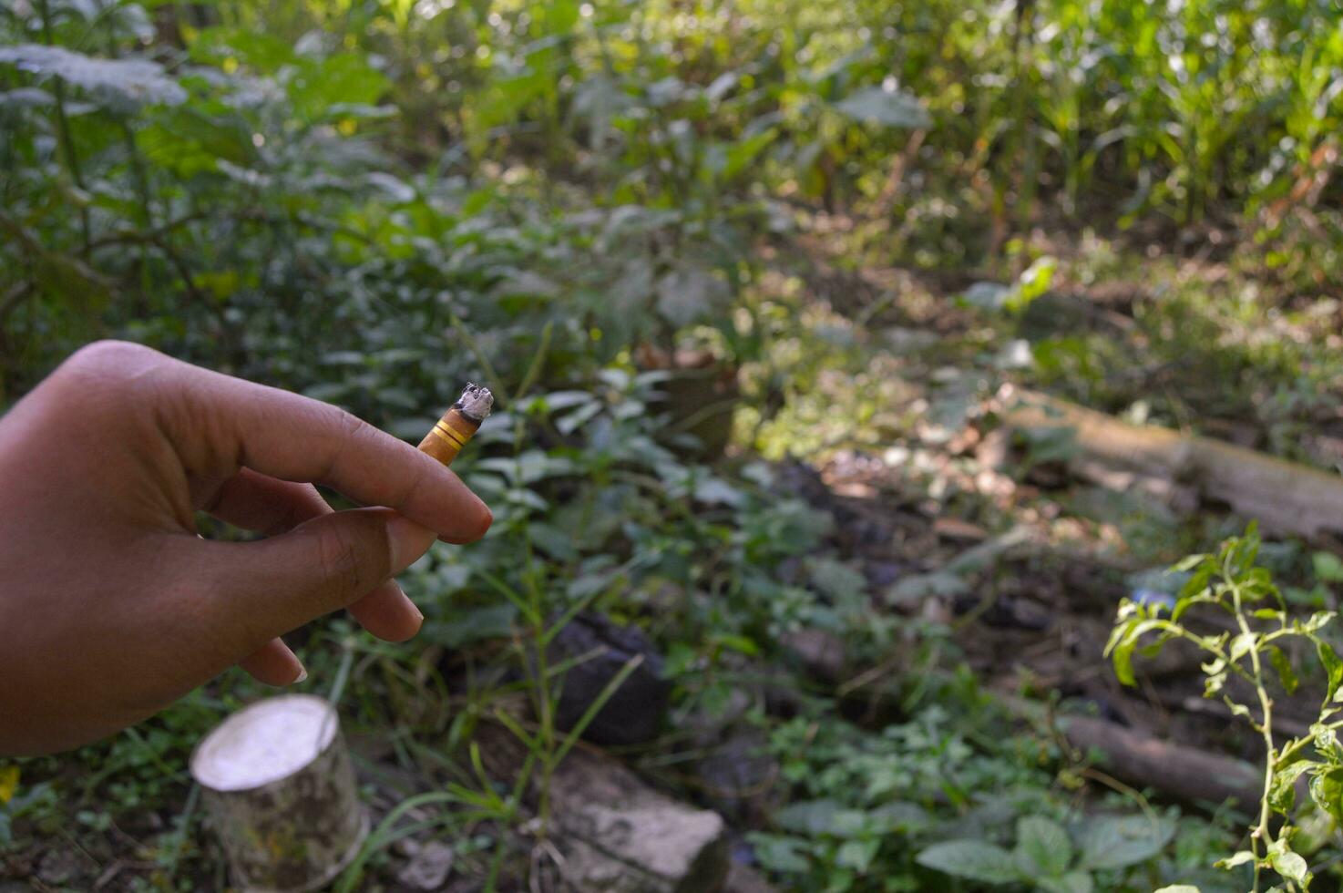 hand holding cigarette butt outdoors photo