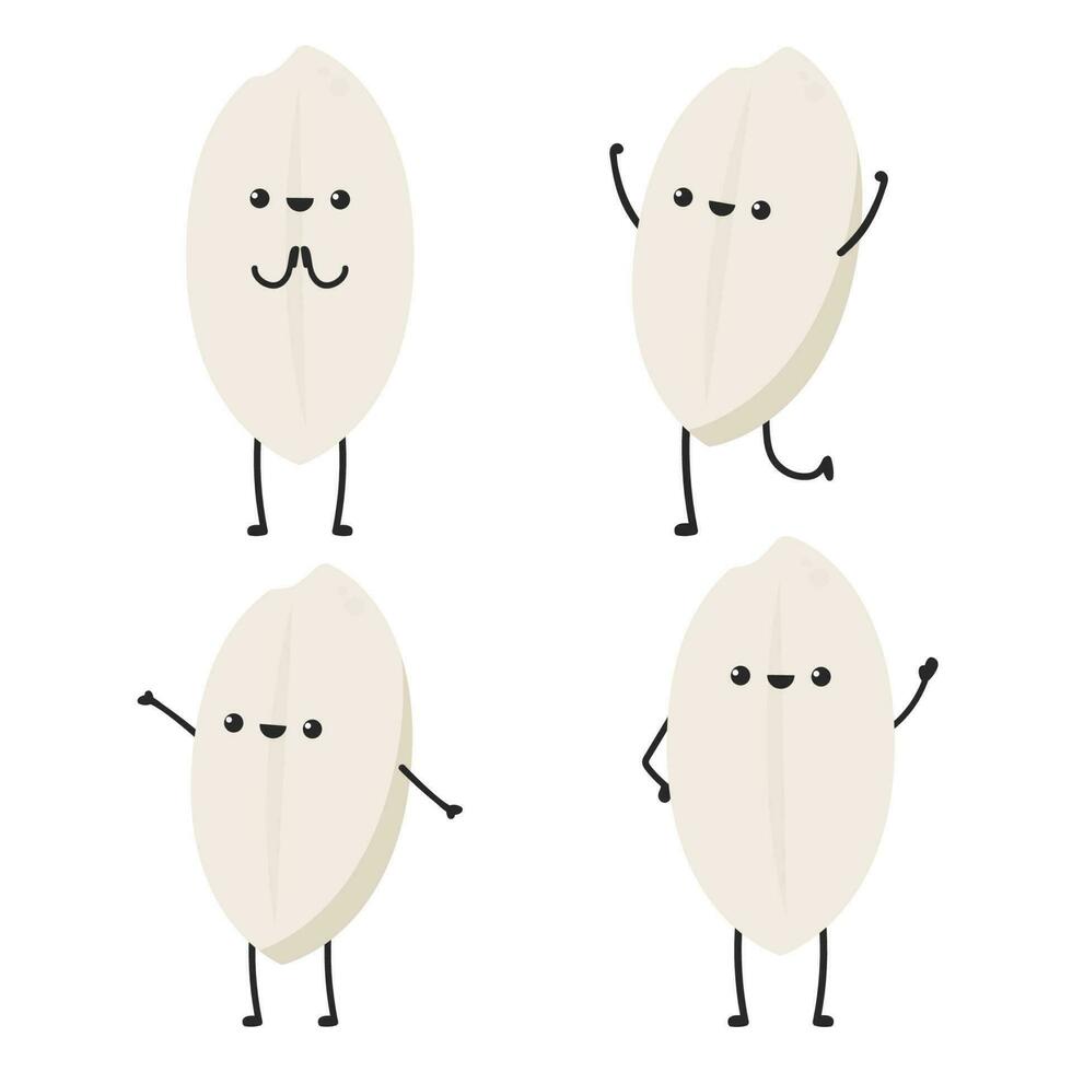 Rice character design. rice vector on white background. rice seed.