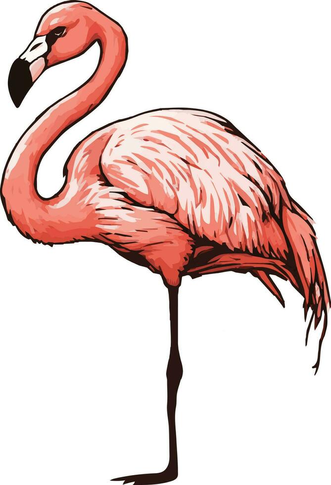 cute pink flamingo, summer time vector