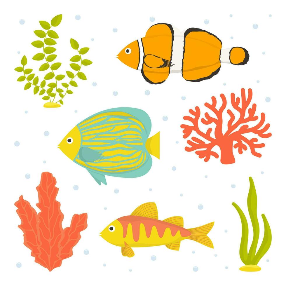 Collection of vector illustrations. Fish and seaweed isolated on white background. Flat cartoon.