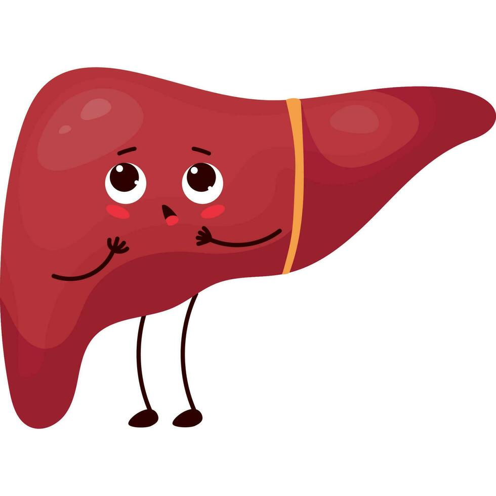 surprised cartoon liver vector