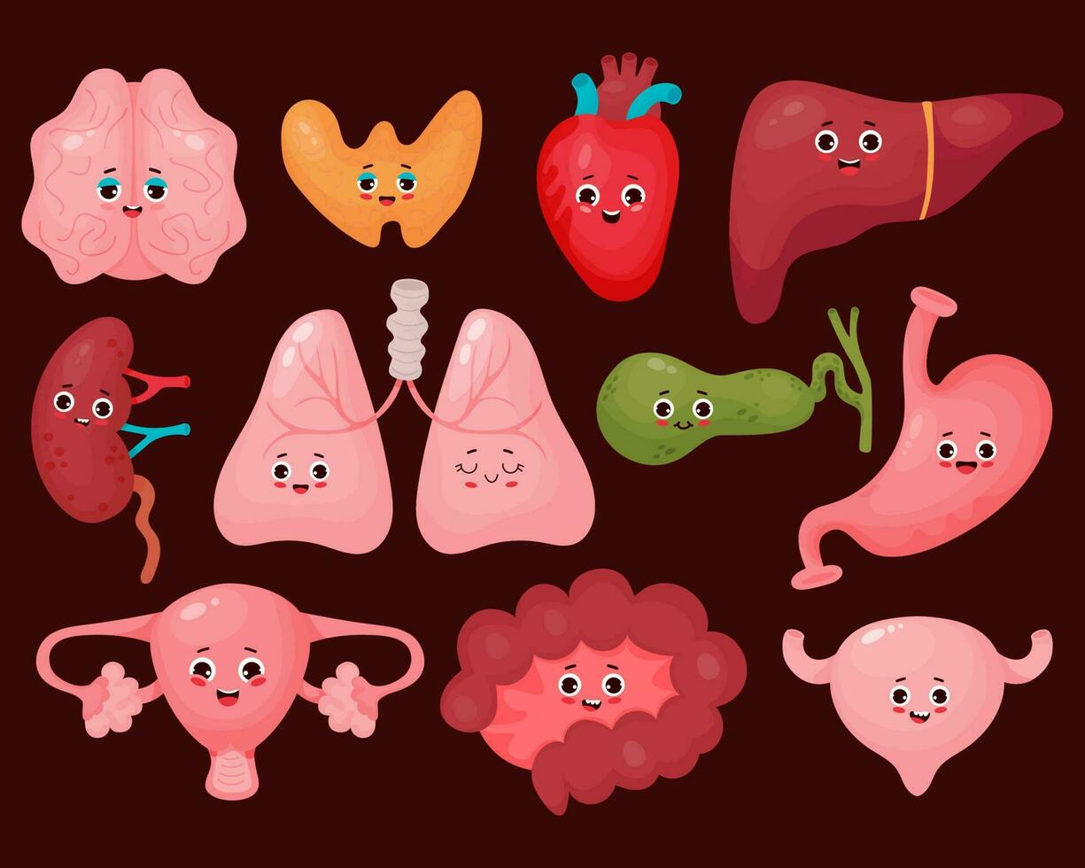 Collection cute human cartoon organs. isolated vector flat funny cartoon characters illustrations design. Anatomy concept.