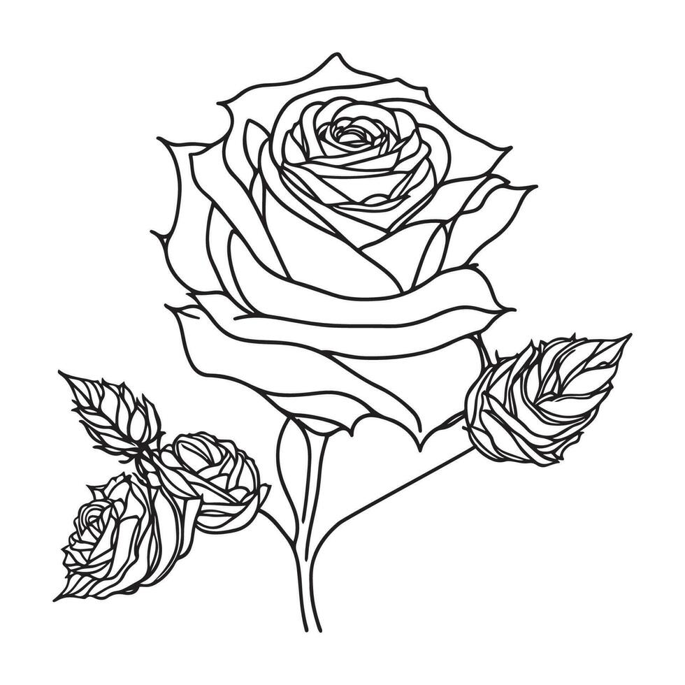 Hand Drawn Rose Black Outline Vector on White Background, Red Rose