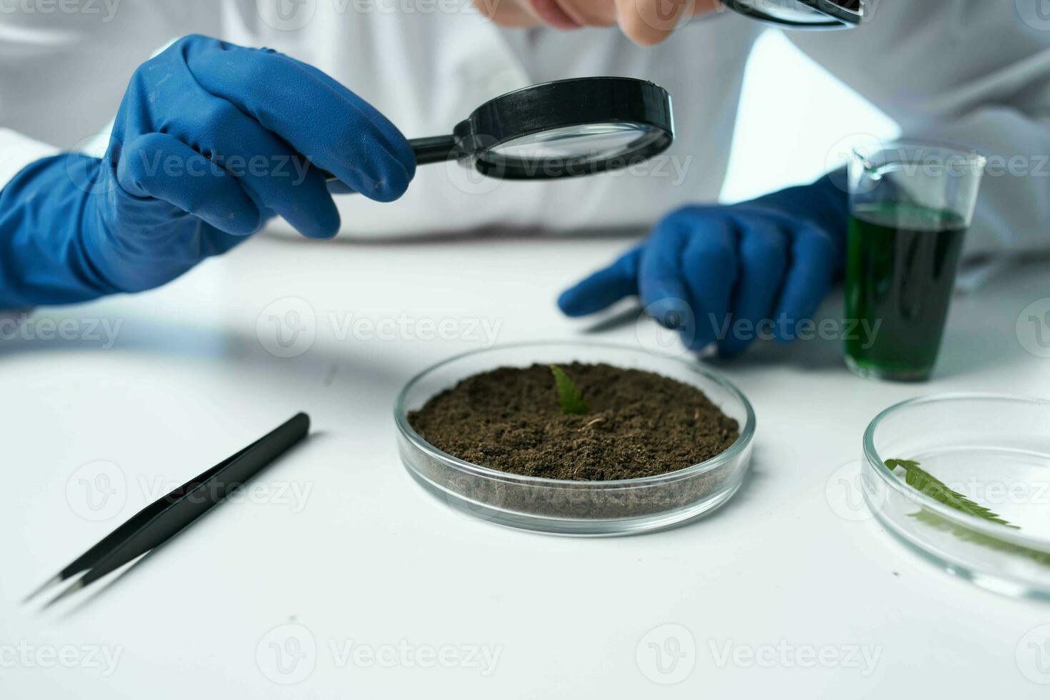 female laboratory assistant looking through a magnifying glass at the soil research biology photo