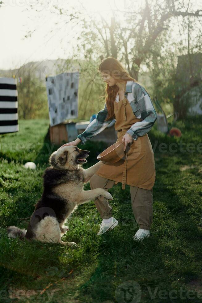 Woman stroking her big furry dog on. farm in the countryside against a backdrop of clean laundry on a rope photo