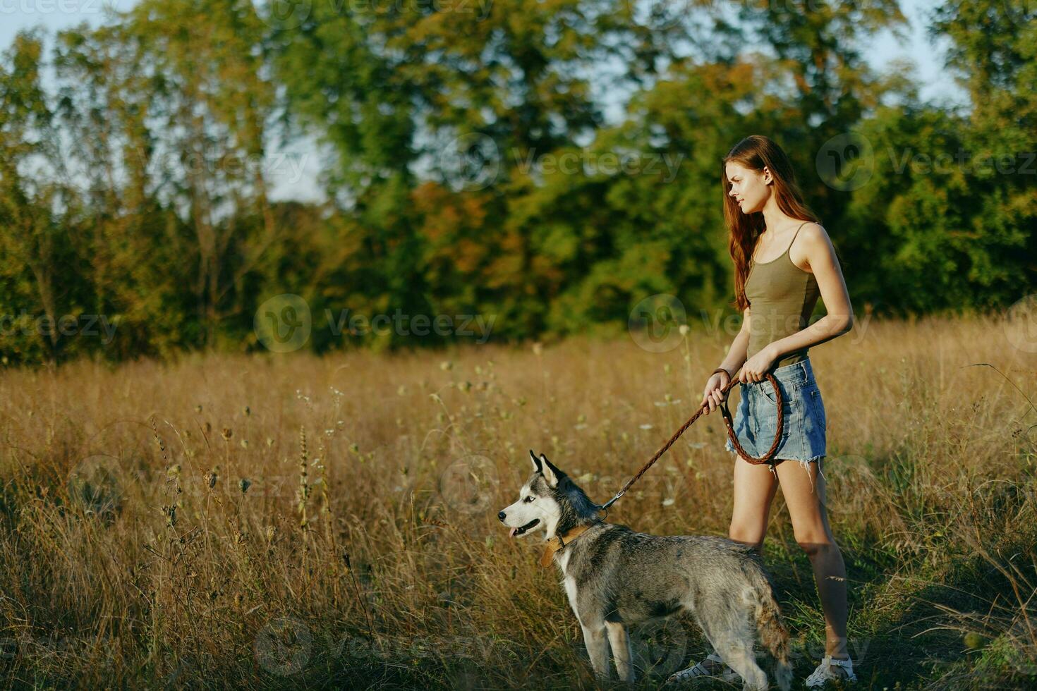 Woman and her husky dog happily walk and run through the grass in the field smile with teeth fall sunset walk with a pet, travel with a friend dog happiness lifestyle photo