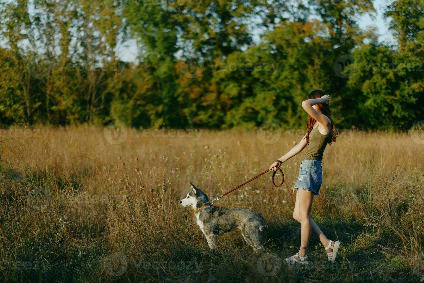 Woman and her husky dog happily walking and running in the grass in the field smile with teeth autumn sunset walk with a pet, traveling with a friend dog happiness photo