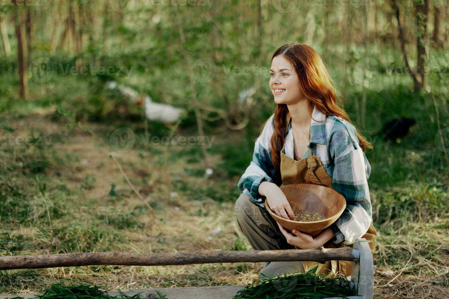 mujer granjero sonrisas y vierte comida para el aves a el pájaro alimentador a el pollo granja foto