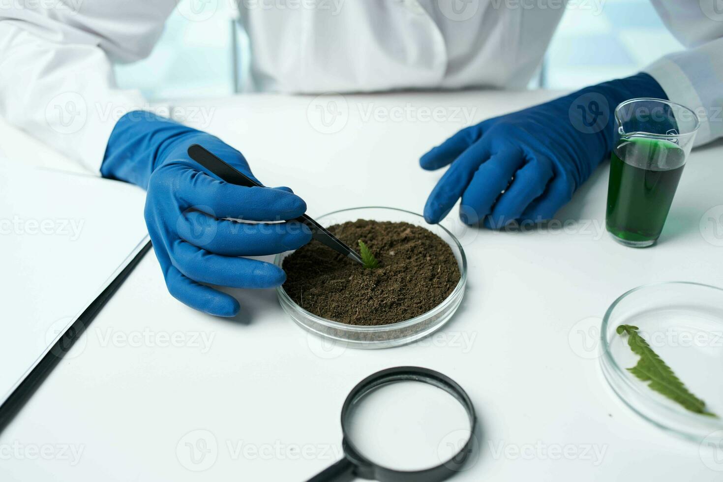 laboratorio azul guantes químico solución investigación biotecnología foto