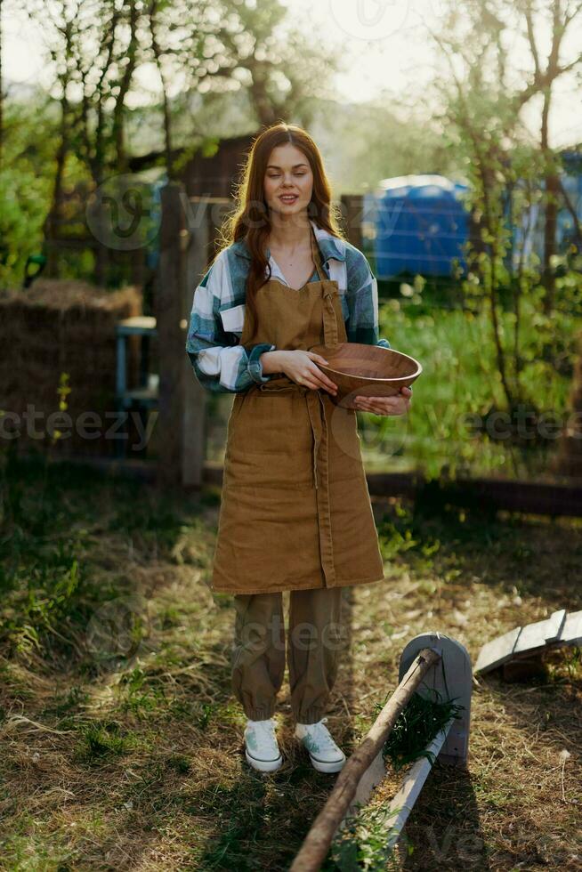 A beautiful woman works on a farm and pours fresh food from a bowl and feeds the chickens and makes sure the food is clean and organic for the health of the faces and chickens on a summer sunny day photo