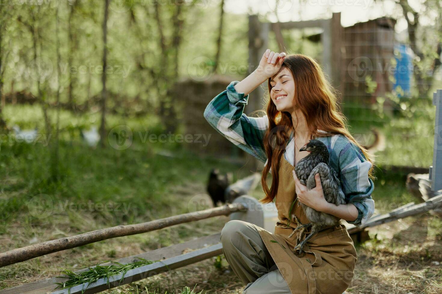 A woman examines a chicken in her hands and rubs her forehead from the fatigue of working on a farm and caring for the birds she feeds organically photo